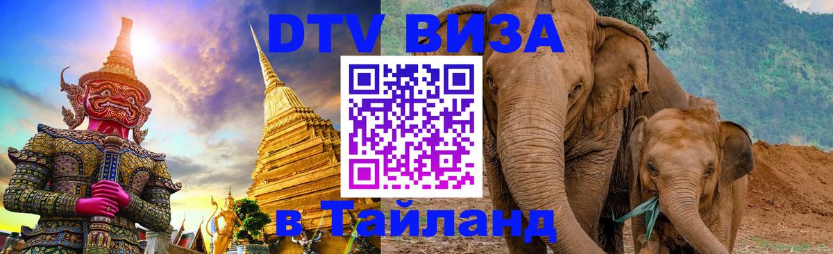 Сколько стоит DTV виза — актуальные цены, оформление даже без документов - 20.11.2025 
